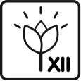 Blütemonate: 11 – 12